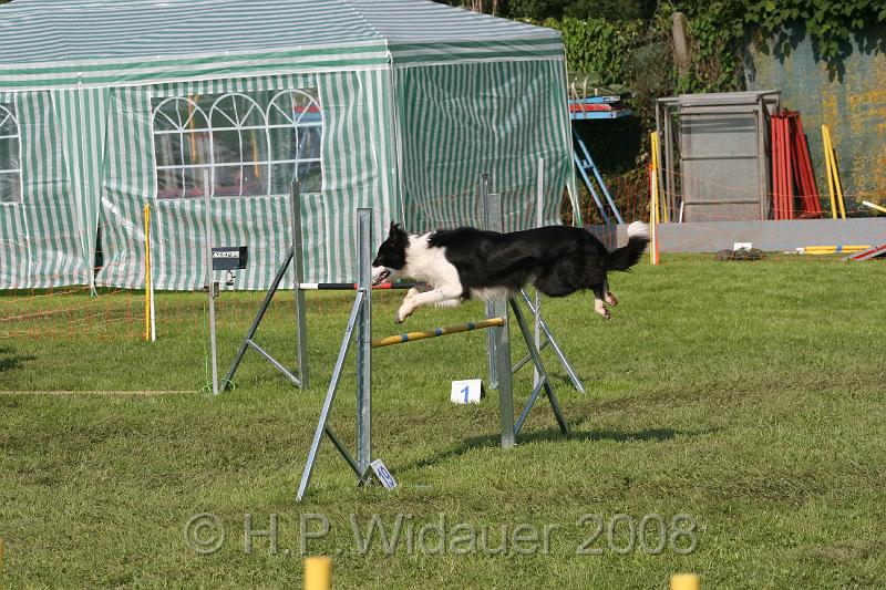 jubil.lusten. 095.jpg